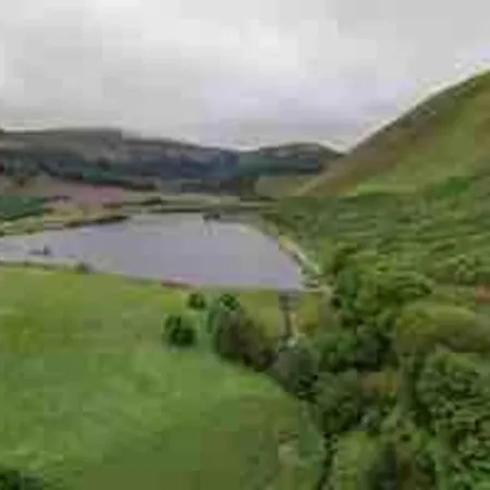 Beautiful Near Lakeside *
