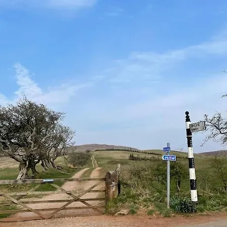 Beautiful Near Lakeside *